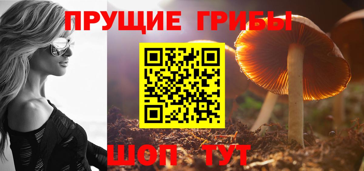 Карпинск  Псилоцибиновые грибы Magic Shrooms  Галлюциногенные грибы мухоморы  Вход с VPN 